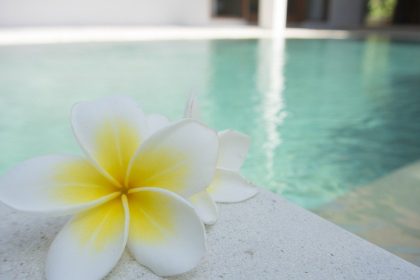 Les critères à prendre en compte pour choisir sa cure thalasso